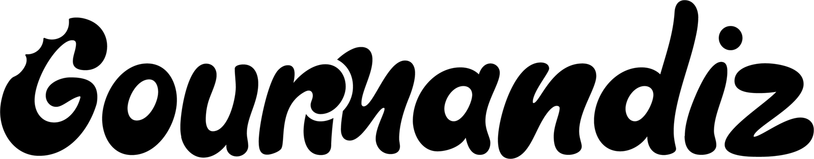 Logo de la marque Gourmandiz